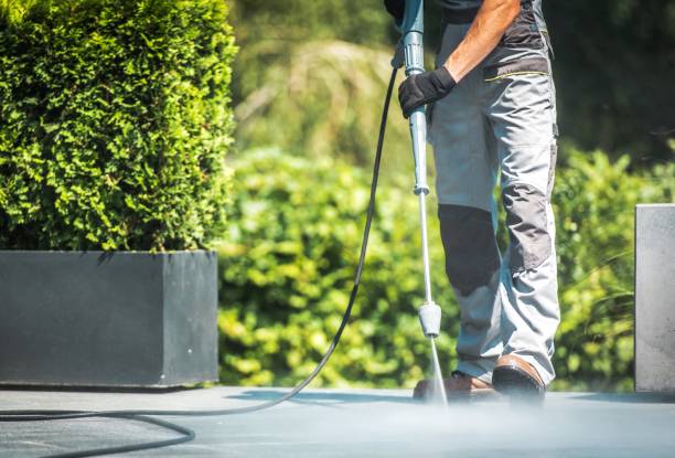 Animal Enclosure Cleaning in Clifton, CO